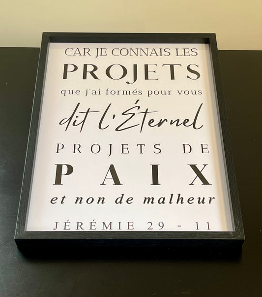 Cadre "Car je connais les projets que j'ai formés sur vous"-Jérémie 29:11