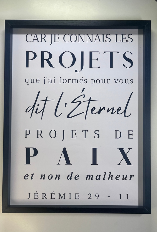 Cadre "Car je connais les projets que j'ai formés sur vous"-Jérémie 29:11